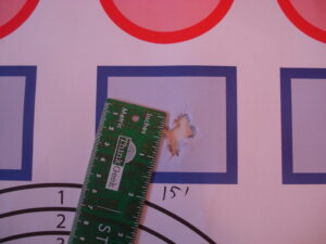 A small insect near a ruler on a purple surface with a square outline.