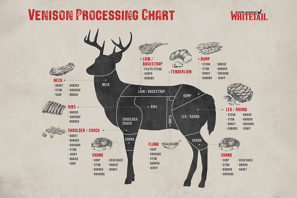 Deer Diagram Our Guide To Each Cut Of Venison The Range Of Richfield